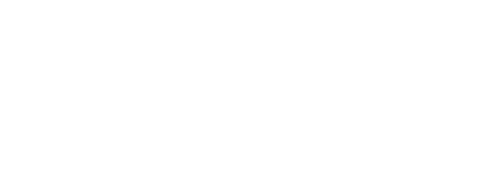Bodas Querétaro logo